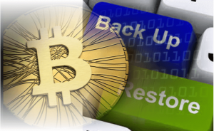 Backup and restore digital coin